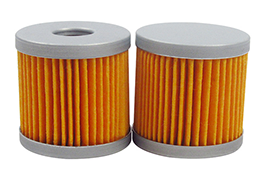 Equivalent Oil Filter BECK 909518